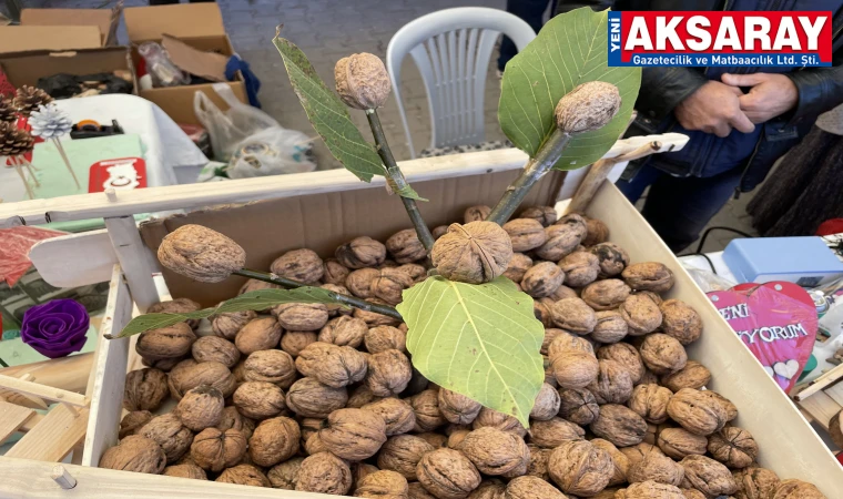AĞAÇÖREN’DE HEYECAN BAŞLIYOR  En iyi ceviz yarışması için başvurular açıldı