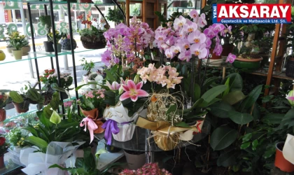 Artan sıcaklarda çiçek bakımına ekstra dikkat edilmeli