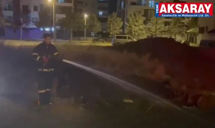 Havai fişek yangına neden oldu