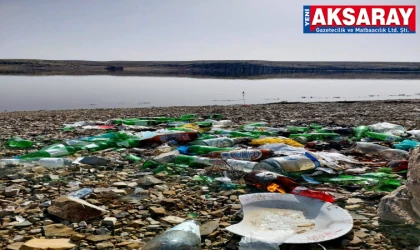 Mamasın Barajı’nda kirlilik alarmı