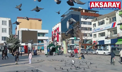 Şubat ayında bahar havası yaşanıyor