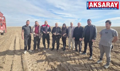 Sultanhanı’nda siyah havuç üretildi