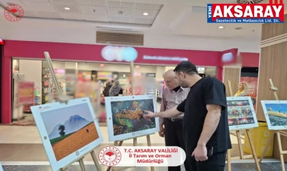 Tarım ve insanın öyküsü resim sergisine yansıdı