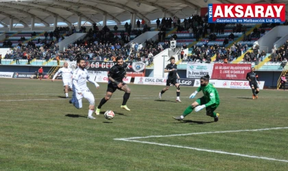 3-1 Galibiz