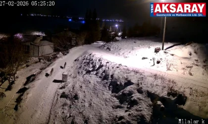 Aç kalan kurtlar köy merkezine indi