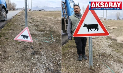Trafik levhaları yenileniyor