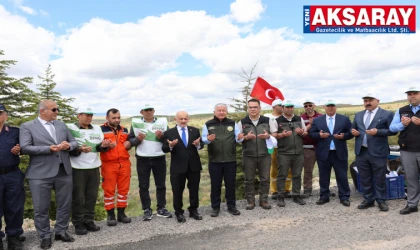 Aksaray ‘Orman Benim’ dedi