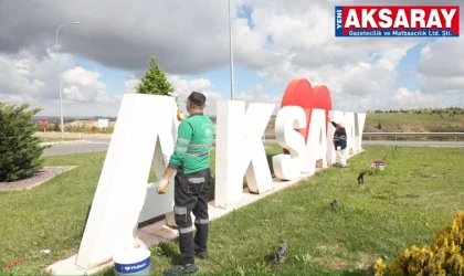 GİRİŞ KAPISINA ESTETİK DOKUNUŞ  Şehrin simgesi yenilendi