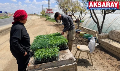 Örtü altı sebze yetiştiriciliğinin yeni merkezi ‘Gücünkaya Köyü’