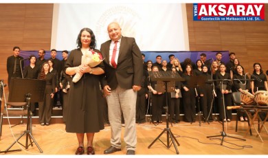 Sanatta üniversite-lise iş birliği