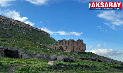 TEMA VAKFI’NDAN AKSARAYLILARA ANLAMLI ÇAĞRI Doğaya sahip çık!