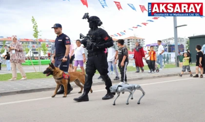 Bilim Festivali bölgesel heyecan oluşturdu