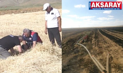 ÇOĞU ARPA EKİLİ OLAN 525 Dönüm arazi kül oldu