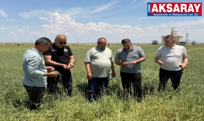 KIRDI GEÇTİ Sultanhanı’nda Dolu Afeti