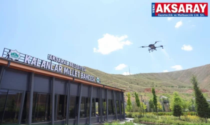 Millet Bahçeleri Dron ile İlaçlanıyor