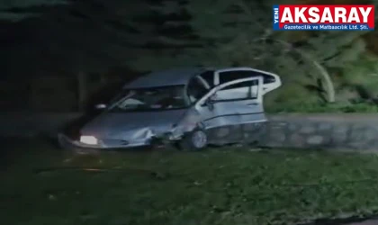 Otomobil ağaçlara çarptı