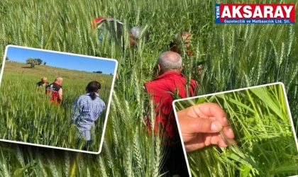 TARIMSAL ÜRETİM GÜVENDE  Hastalık ve zararlı kontrolleri aralıksız sürüyor