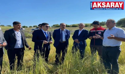 Tarımsal zarar yerinde incelendi