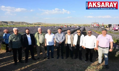 50 Litre lavanta yağı üretiliyor