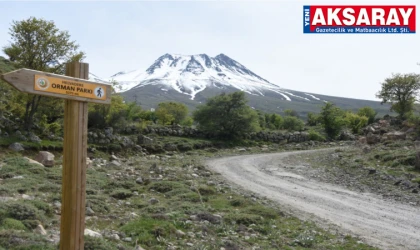 Aksaray'da ormanlara giriş yasaklandı