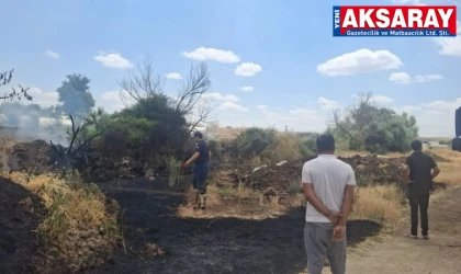 Alevler ağaçlara sıçradı