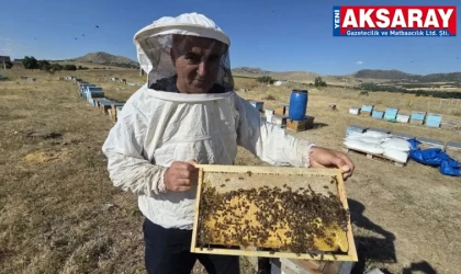 Arıcıların kovan kontrolleri yapıldı
