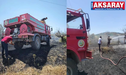 Balcı’daki yangın büyümeden söndürüldü