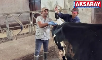 Hayvan sağlığı için ekipler sahada