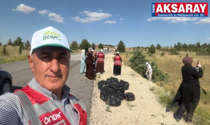 Ormanı temizlediler