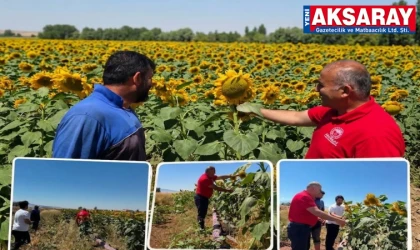 ‘Üretici Buluşmaları’ aralıksız devam ediyor