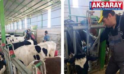 Hastalıktan Ari İşletmelere denetim