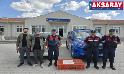 YASA DIŞI YABAN HAYVANI TİCARETİNE OPERASYON 10 Yabani kuş kurtarıldı