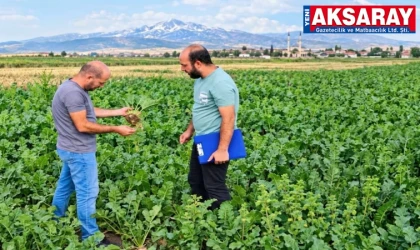 Aksaray’da tarım arazilerinde saha kontrolleri aralıksız sürüyor