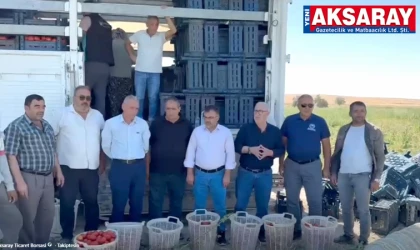 ALTERNATİF TARIMA DESTEK  Taşpınar’da hasat programı