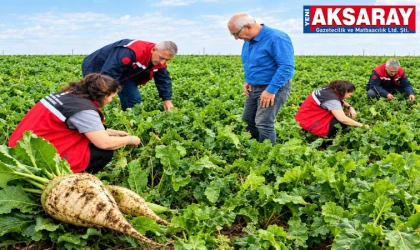 Pancar ekim alanları kontrol edildi